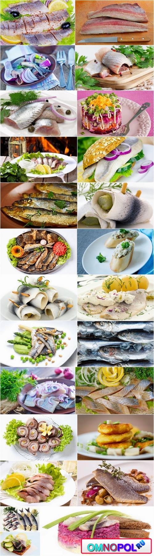 Seafood fish herring dish 25 HQ Jpeg