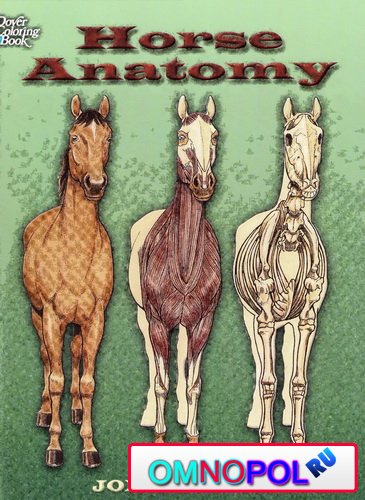 Horse Anatomy (Dover Pictorial Archive)