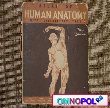 Atlas of HUMAN ANATOMY with explanatory text (1942)