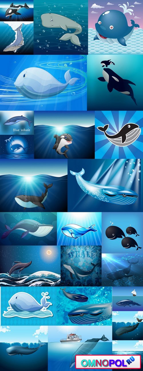 Orca whale illustration for children's books of the underwater world 25 EPS