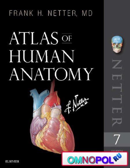 Atlas of Human Anatomy Edition: 7