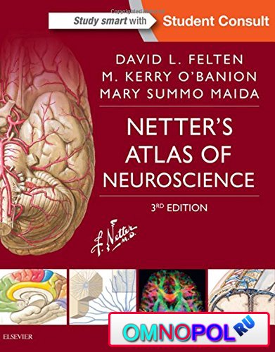 Netter's Atlas of Neuroscience, Third edition