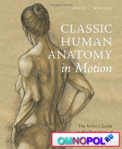 Classic Human Anatomy in Motion: The Artist's Guide to the Dynamics of Figure Drawing - 2015