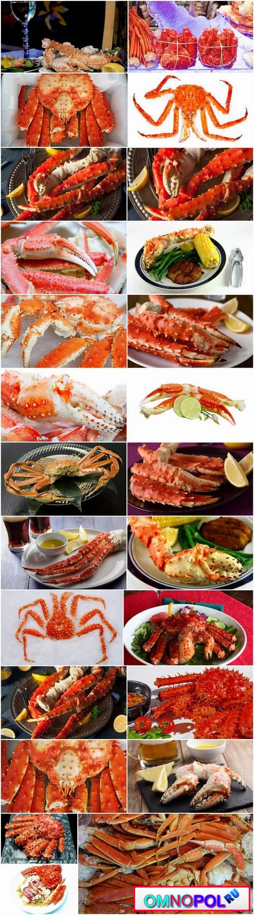 King crab claw seafood delicacy 25 HQ Jpeg