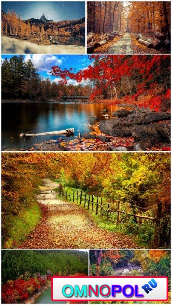Fall scenery wallpaper (Pack 22)