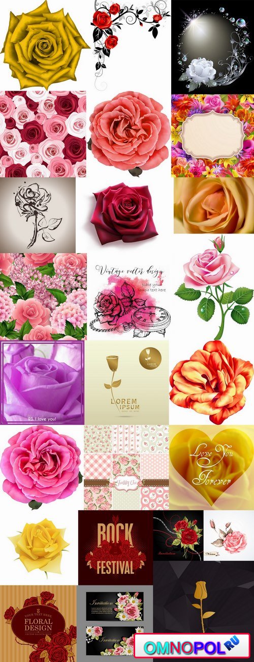 Rose flower invitation card postcard vector image 25 EPS