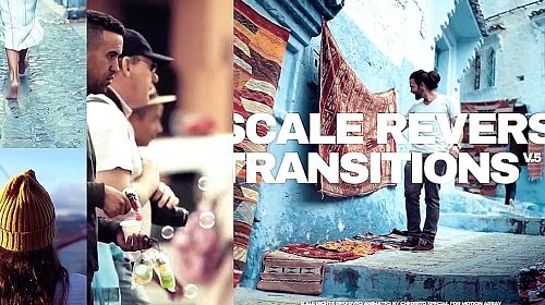 Scale Reverse Transitions v.5 867407 - Project for After Effects