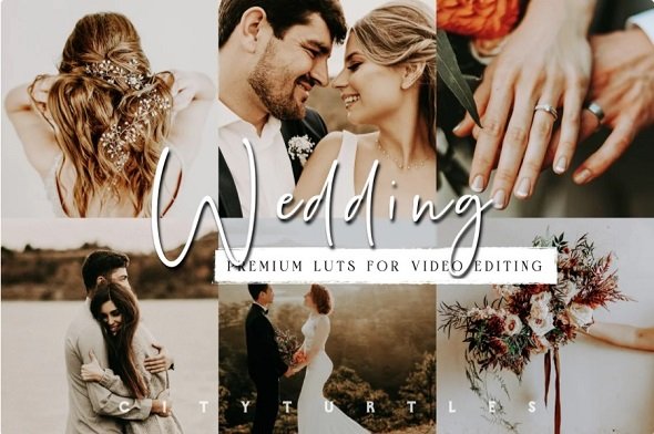 Moody Wedding LUTs for Video Editing 5954073